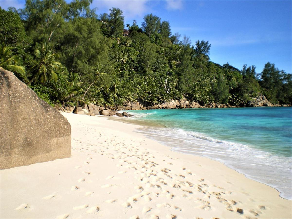 Seychelles Yellow Petals Anse Boileau ภายนอก รูปภาพ