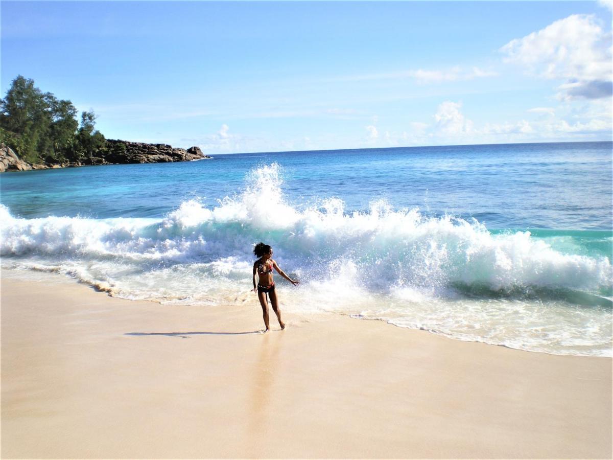 Seychelles Yellow Petals Anse Boileau ภายนอก รูปภาพ