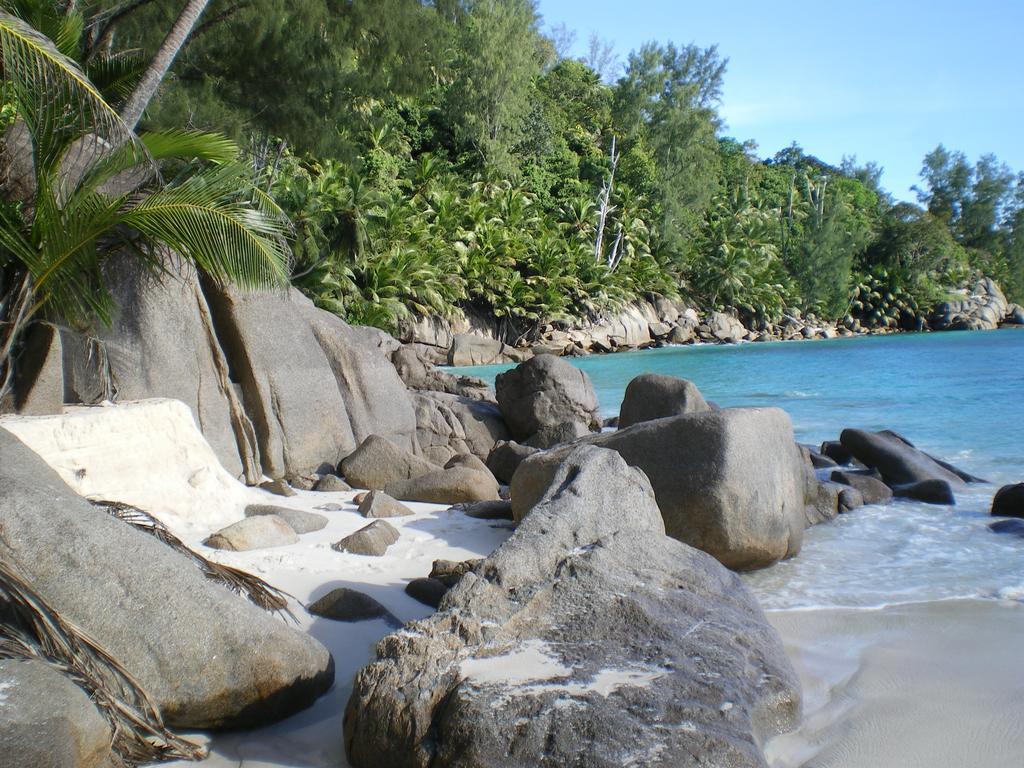 Seychelles Yellow Petals Anse Boileau ภายนอก รูปภาพ
