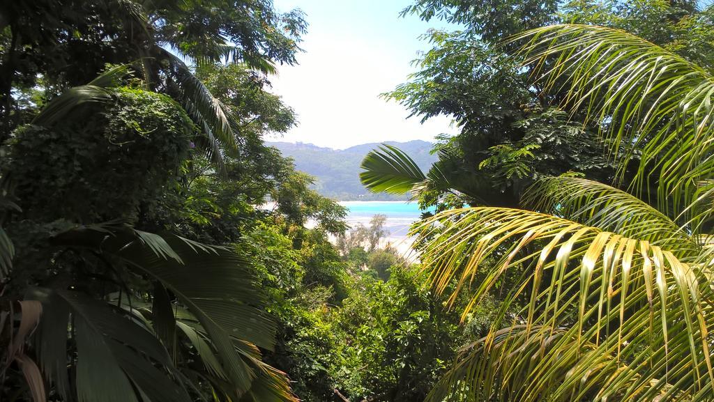 Seychelles Yellow Petals Anse Boileau ภายนอก รูปภาพ