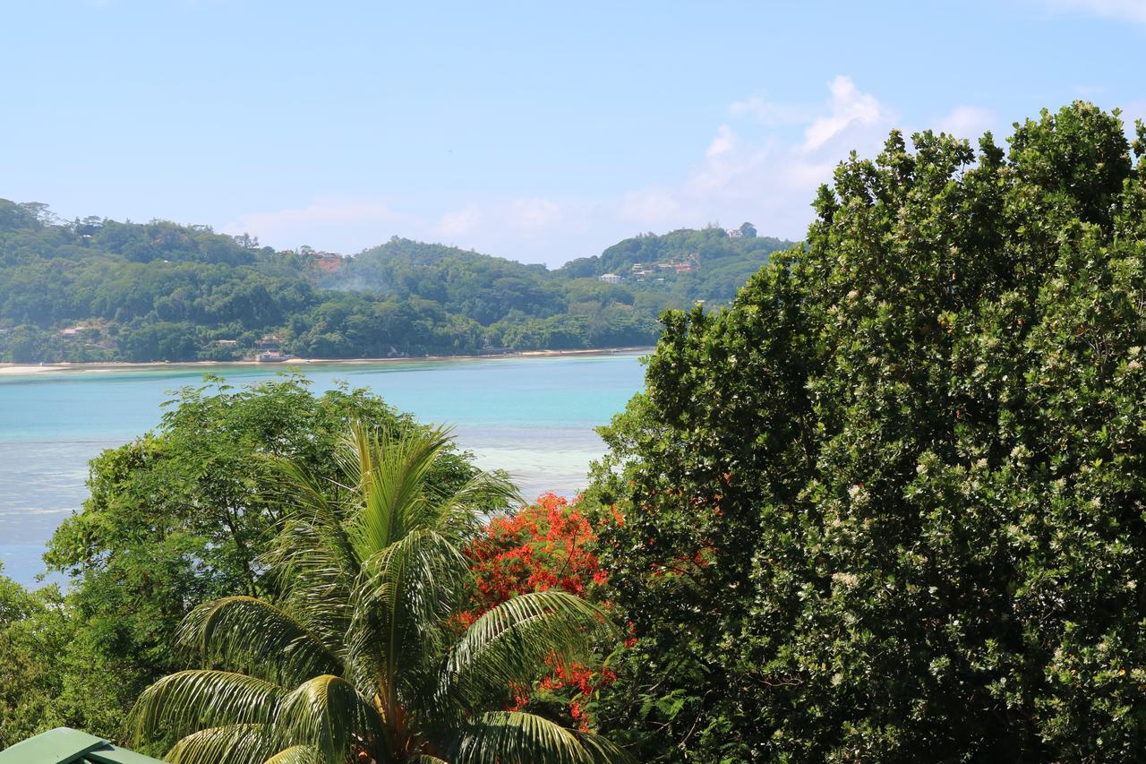 Seychelles Yellow Petals Anse Boileau ภายนอก รูปภาพ